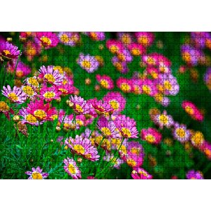 Pembe Ve Lila Papatyalar Puzzle Yapboz Mdf Ahşap 1000 Parça