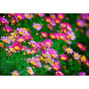 Pembe Ve Lila Papatyalar Puzzle Yapboz Mdf Ahşap 120 Parça