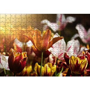 Laleler Ve Güneş Işıkları Puzzle Yapboz Mdf Ahşap 255 Parça