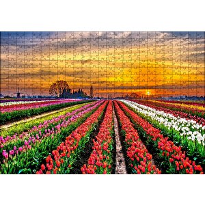 Hollanda'da Günbatımı Ve Lale Tarlaları Puzzle Yapboz Mdf Ahşap 500 Parça