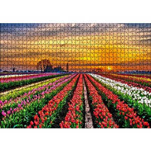 Hollanda'da Günbatımı Ve Lale Tarlaları Puzzle Yapboz Mdf Ahşap 1000 Parça