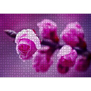 Pembe Gül Dalı Görseli Puzzle Yapboz Mdf Ahşap 1000 Parça