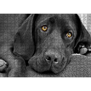 Kara Labrador, Üzgün Köpek Puzzle Yapboz Mdf Ahşap 500 Parça