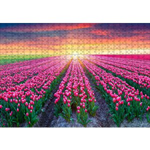 Hollanda Gündoğumunda Lale Tarlaları Puzzle Yapboz Mdf Ahşap 500 Parça