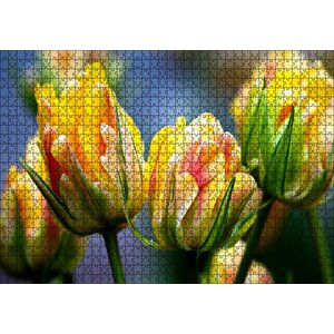 Sarı Turuncu Yeşil Tonlarda Lale Çiçeği Puzzle Yapboz Mdf Ahşap 1000 Parça