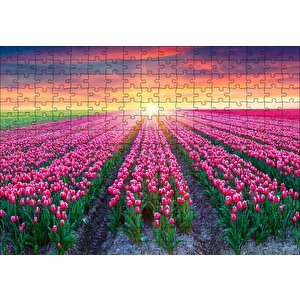 Hollanda Gündoğumunda Lale Tarlaları Puzzle Yapboz Mdf Ahşap 255 Parça