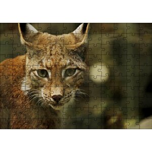 Vaşak Yakın Çekim Flu Arka Plan Puzzle Yapboz Mdf Ahşap 120 Parça