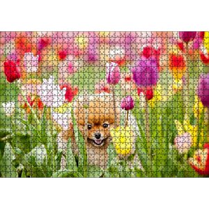 Rengarenk Laleler Arasındaki Sevimli Kahverengi Köpek Puzzle Yapboz Mdf Ahşap 1000 Parça