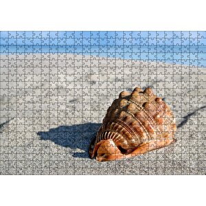 Kumsalda Dev Deniz Kabuğu Puzzle Yapboz Mdf Ahşap 500 Parça
