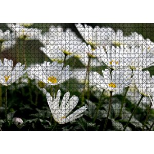 Taçlı Beyaz Dağ Laleleri Yakın Çekim Puzzle Yapboz Mdf Ahşap 1000 Parça