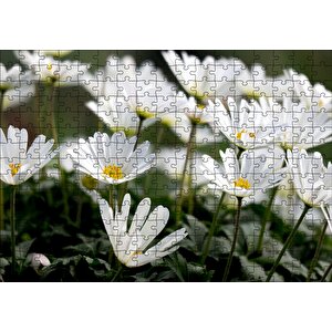 Taçlı Beyaz Dağ Laleleri Yakın Çekim Puzzle Yapboz Mdf Ahşap 255 Parça