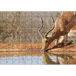 Savanada Diz Çökmüş Su İçen İmpala Puzzle Yapboz Mdf Ahşap 120 Parça
