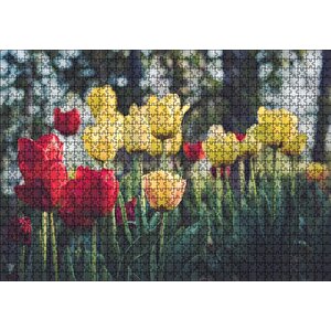 Sarı Ve Kırmızı Laleler Flu Arka Plan Puzzle Yapboz Mdf Ahşap 1000 Parça