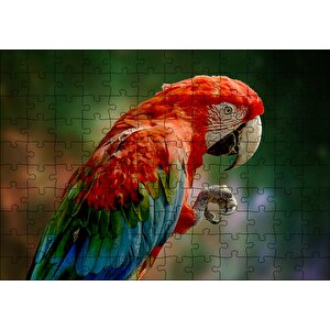 Kırmızı Mavi Papağan Ve Pençesi Flu Arka Plan Puzzle Yapboz Mdf Ahşap 120 Parça