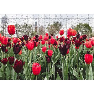 Turuncu Ve Mor Laleler Puzzle Yapboz Mdf Ahşap 255 Parça