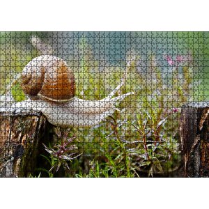 Kütükten Otların Üzerine İnen Salyangoz Puzzle Yapboz Mdf Ahşap 1000 Parça