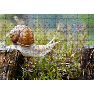 Kütükten Otların Üzerine İnen Salyangoz Puzzle Yapboz Mdf Ahşap 255 Parça