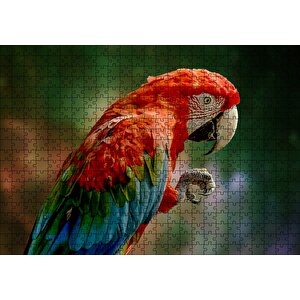 Kırmızı Mavi Papağan Ve Pençesi Flu Arka Plan Puzzle Yapboz Mdf Ahşap 500 Parça