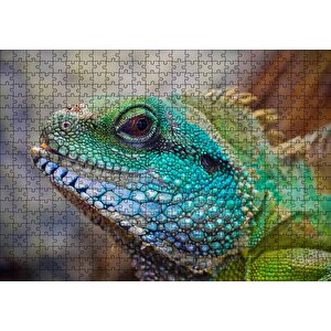 Yeşil Mavi Renkleriyle Kertenkele Yakın Çekim Puzzle Yapboz Mdf Ahşap 500 Parça