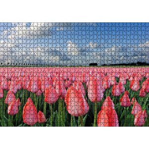 Pembe Lale Bahçesi Görseli Puzzle Yapboz Mdf Ahşap 1000 Parça