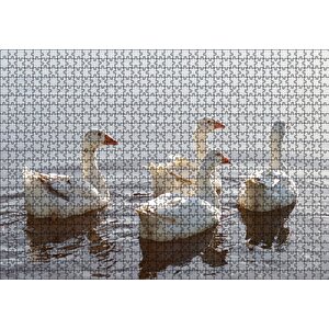 Gölde Süzülen Kazlar Ve Güneş Işıkları Puzzle Yapboz Mdf Ahşap 1000 Parça