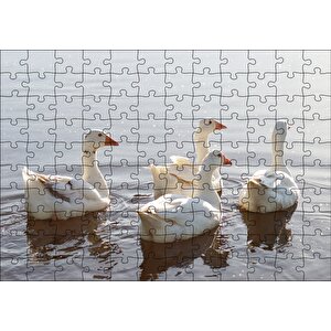 Gölde Süzülen Kazlar Ve Güneş Işıkları Puzzle Yapboz Mdf Ahşap 120 Parça