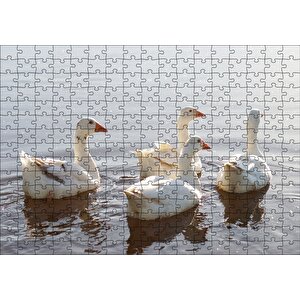 Gölde Süzülen Kazlar Ve Güneş Işıkları Puzzle Yapboz Mdf Ahşap 255 Parça