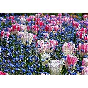 Lale Çiçeği Ve Bahar Çiçekleri Puzzle Yapboz Mdf Ahşap 1000 Parça