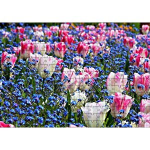 Lale Çiçeği Ve Bahar Çiçekleri Puzzle Yapboz Mdf Ahşap 255 Parça