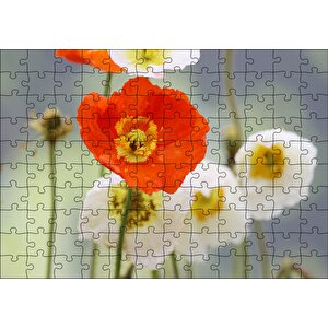 Kırmızı Ve Beyaz Gelincikler Yakın Çekim Puzzle Yapboz Mdf Ahşap 120 Parça