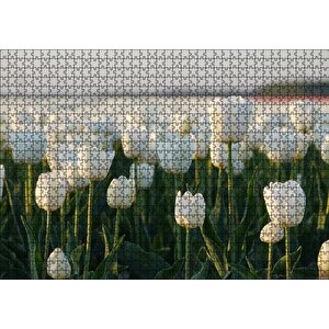Gündoğumunda Beyaz Laleler Puzzle Yapboz Mdf Ahşap 1000 Parça