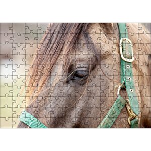 Yeşil Koşumlu Kahverengi At Yakın Çekim Puzzle Yapboz Mdf Ahşap 120 Parça