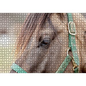Yeşil Koşumlu Kahverengi At Yakın Çekim Puzzle Yapboz Mdf Ahşap 1000 Parça