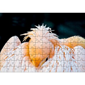 Kanatları Arasına Gömülmüş Pelikan Yakın Çekim Puzzle Yapboz Mdf Ahşap 120 Parça