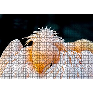 Kanatları Arasına Gömülmüş Pelikan Yakın Çekim Puzzle Yapboz Mdf Ahşap 1000 Parça