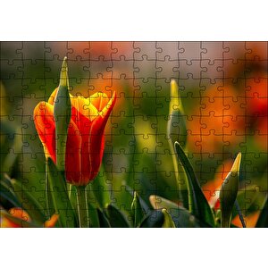 Kırmızı Laleler Ve Yeşil Yapraklar Güneş Işığı Puzzle Yapboz Mdf Ahşap 120 Parça