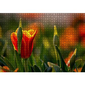 Kırmızı Laleler Ve Yeşil Yapraklar Güneş Işığı Puzzle Yapboz Mdf Ahşap 1000 Parça