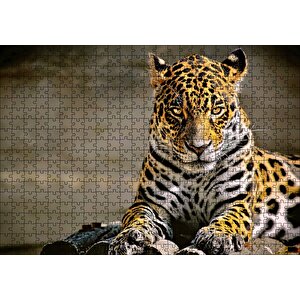 Sarı Siyah Beyaz Karışımlı Leopar Görseli Puzzle Yapboz Mdf Ahşap 500 Parça