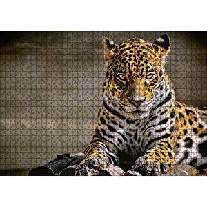 Sarı Siyah Beyaz Karışımlı Leopar Görseli Puzzle Yapboz Mdf Ahşap 1000 Parça