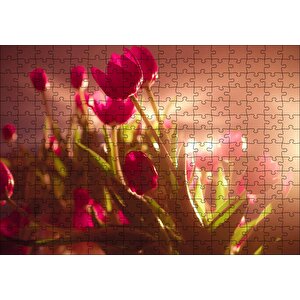 Kırmızı Laleler Ve Güneş Işıkları Puzzle Yapboz Mdf Ahşap 255 Parça