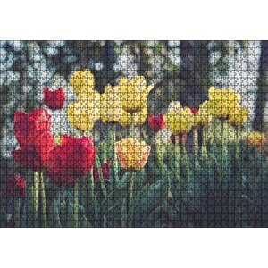 Sarı Ve Kırmızı Laleler Flu Arkaplan Puzzle Yapboz Mdf Ahşap 1000 Parça