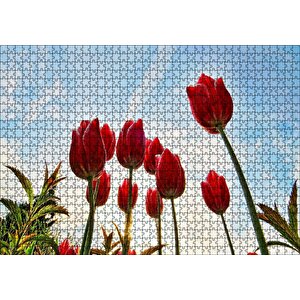 Kırmızı Lale Bahçesi Görseli Puzzle Yapboz Mdf Ahşap 1000 Parça