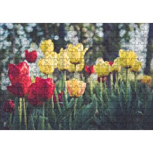 Sarı Ve Kırmızı Laleler Flu Arkaplan Puzzle Yapboz Mdf Ahşap 255 Parça