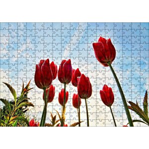 Kırmızı Lale Bahçesi Görseli Puzzle Yapboz Mdf Ahşap 255 Parça