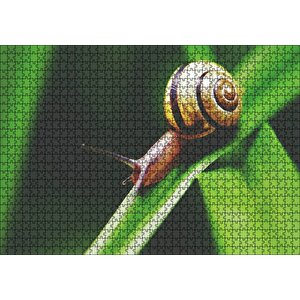 Yeşil Yaprak Üzerindeki Salyangoz Yakın Çekim Puzzle Yapboz Mdf Ahşap 1000 Parça