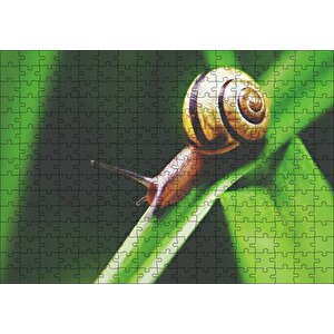 Yeşil Yaprak Üzerindeki Salyangoz Yakın Çekim Puzzle Yapboz Mdf Ahşap 255 Parça