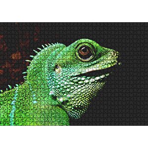 Parlak Yeşil Renkleriyle Kertenkele Puzzle Yapboz Mdf Ahşap 1000 Parça