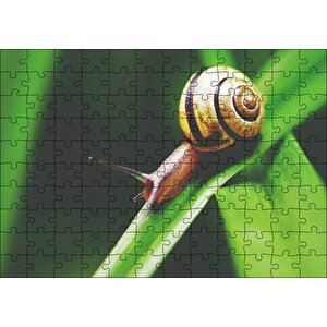 Yeşil Yaprak Üzerindeki Salyangoz Yakın Çekim Puzzle Yapboz Mdf Ahşap 120 Parça