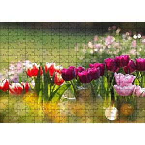 Gün Işığı Renkli Lale Bahçesi Puzzle Yapboz Mdf Ahşap 255 Parça