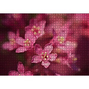 Sarı Tohumlu Kırmızı Çiçekler Yakın Çekim Puzzle Yapboz Mdf Ahşap 1000 Parça